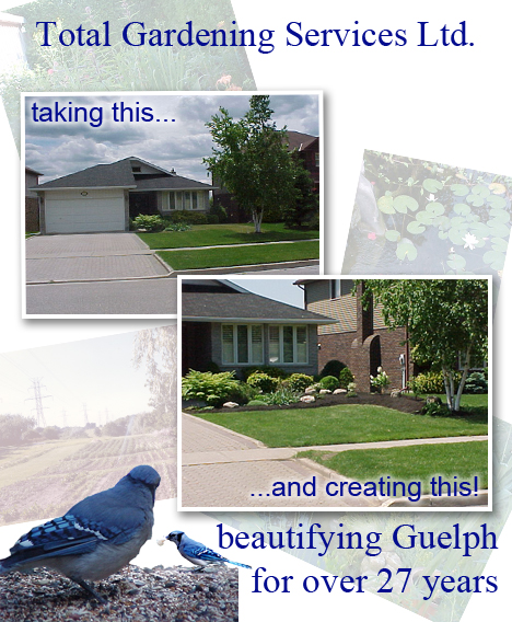 Guelph Landscaping